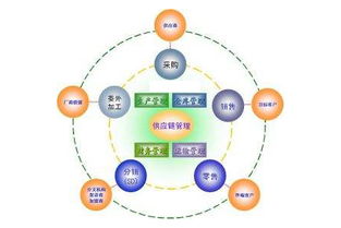 工厂企业建立高效的供应链管理必须掌握的三大要点